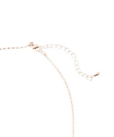 earth music&ecology ロングリボンチェーンネックレス