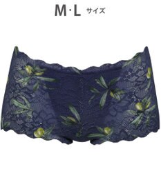 WACOAL ショーツ 【GOCOCi ゴコチ】 CGG297とペア 肌あたりのやさしいレース アウターにひびきにくい はきこみ丈あさめ レディース PGG197 /ワコール