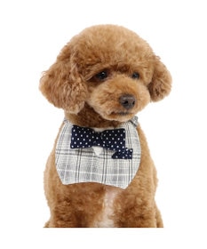 PET PARADISE ペットパラダイス 蝶ネクタイ スタイ 《チェック柄》 小型犬
