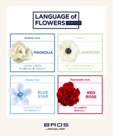 WACOAL MEN ブリーフ フロント立体設計 適度なフィット感（フロント部分） 前閉じ GF2220 /ブロス バイ ワコールメン