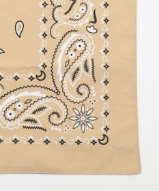 ANY 【POLO BCS別注】バンダナ