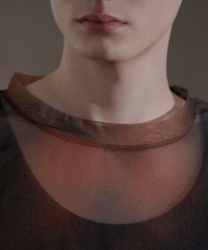 WEGO シアープリントT（LS）