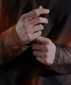 WEGO シアープリントT（LS）