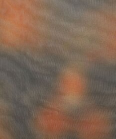 WEGO シアープリントT（LS）