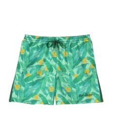 Green Parks ｍｅ　Ｊａｎｅ／プリントショートパンツ