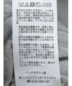 AMERICAN HOLIC ドルマンミニ裏毛プルオーバー②