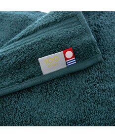 PRESENTERS ROOM 100（HYAKU） / 今治フェイスタオル グリーン