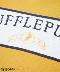 Green Parks ハリー・ポッター／ジャガードラインニット