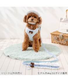 PET PARADISE ディズニー アリス フリルリード ４Ｓ～３Ｓ