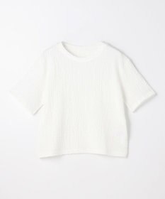 ANY L レースショート丈Tシャツ