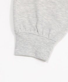 WEGO 【ユニセックス着用ITEM/SMLサイズ展開/裏起毛】ワンポイント刺繍プルパーカー