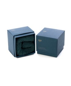 PRESENTERS ROOM 100（HYAKU） / 今治フェイスタオル グリーン