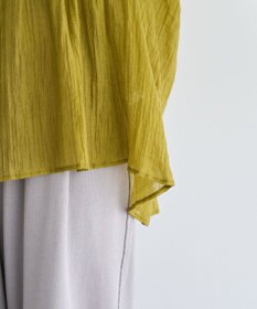 Green Parks Ｖネックフリルシアープリーツブラウス