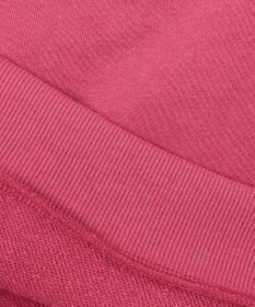 ANY KIDS 【らくっトレーナー】アニマル 裏毛 サガラ刺しゅう トレーナー