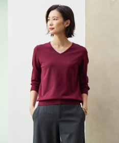 洗える】PRINCE Vネック ニット / J.PRESS LADIES | ファッション通販