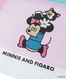 Green Parks Ｍｉｃｋｅｙ　ｆｒｉｅｎｄ　／　クリアポーチ