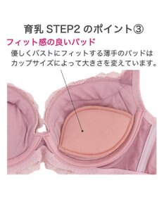 BRADELIS New York 【BRADELIS New York/ 育乳ブラ・STEP2 寄せる】ベルステップ2ブラ24A1