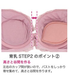 BRADELIS New York 【BRADELIS New York/ 育乳ブラ・STEP2 寄せる】ベルステップ2ブラ24A1