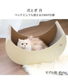 PET PARADISE 猫 爪とぎ ダンボール 単品《月 / 雲》