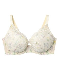 une nana cool 小さく見せるブラ ミニマイザーブラ レース