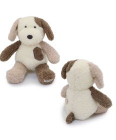 PET PARADISE ペットパラダイス わんさん トイ 小型犬