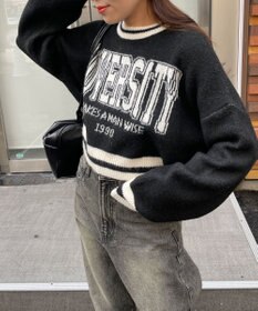 WEGO ラインリブフラッフィーショートニット