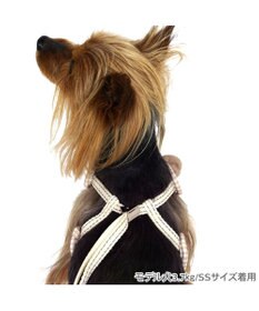 PET PARADISE ペットパラダイス くまちゃん 顔 リード付きハーネス ４Ｓ/３Ｓ 小型犬