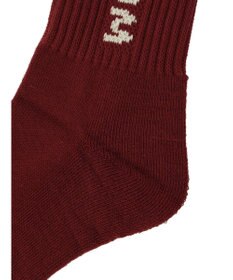 Green Parks ■ＦＲＵＩＴ　ＯＦ　ＴＨＥ　ＬＯＯＭ　３Ｐ縦ロゴソックス