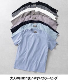 GOTAIRIKU キングサイズ登場【サラサラ/高通気】仕事で着られる 鹿の子 BIZ Tシャツ