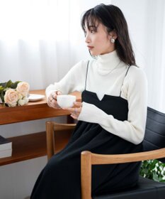 WEGO リブタートルネックニット