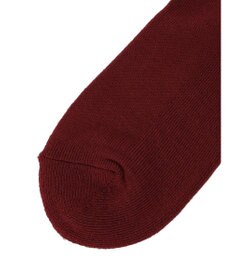 Green Parks ■ＦＲＵＩＴ　ＯＦ　ＴＨＥ　ＬＯＯＭ　３Ｐ縦ロゴソックス