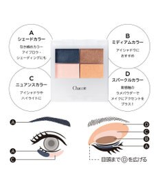 Chacott Cosmetics フェイスカラーパレット【511】パラレルワールド