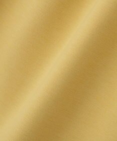 Green Parks ウエストタックＩラインカットスカート