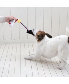 PET PARADISE リサとガスパール お友達 ロープ トイ