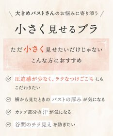 Wing ブラジャー コンパクトにバストメイク 高さをおさえる 【小さく見せるブラ】 Gカップまで対応 大きいサイズ ブラ KB6100 ウイング／ワコール