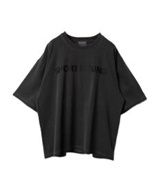 WEGO ピグメントBIGロゴボックスT（SS）