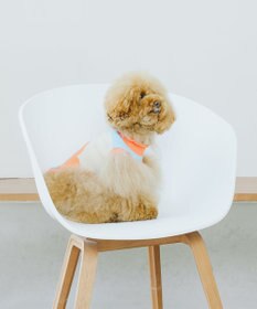 COQ LINE DOTS ドットドッグウェア