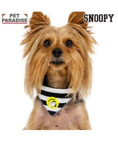 PET PARADISE スヌーピー ＪOE COOL 反射首輪 リバーシブル仕様 ３Ｓ