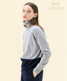 BEIGE， 【WEB限定・洗える】DEMING / バイカラーウールタートルネックニット