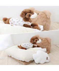 PET PARADISE ペットパラダイス 王冠くまちゃん 折り畳み ベッド