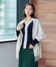 ANY 【洗える】Vネック リブニット