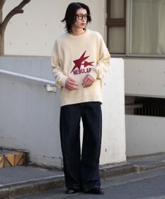 WEGO サテンワッペンニットプルオーバー