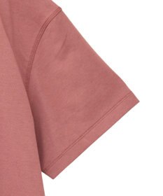 Green Parks ・ＳＵＧＡＲ　ＳＰＯＯＮ　トロンプルイユＴＥＥ