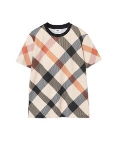 DAKS メガチェック カノコTシャツ