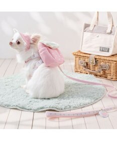 PET PARADISE ペットパラダイス 花苺柄 リード ４Ｓ～３Ｓ