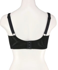 San-ai Resort（三愛水着楽園） エレガントコレクション【2503】単品ブラHIカップ 【背中すっきり】