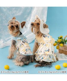 PET PARADISE リサとガスパール エコメイド シトラス タンクトップ 小型犬