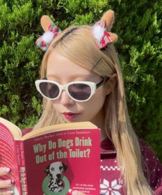 WEGO クリスマス2pミニピン