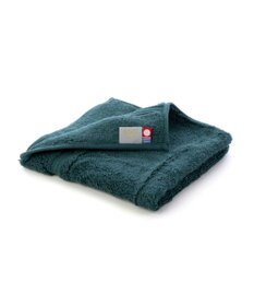 PRESENTERS ROOM 100（HYAKU） / 今治ウォッシュタオル グリーン