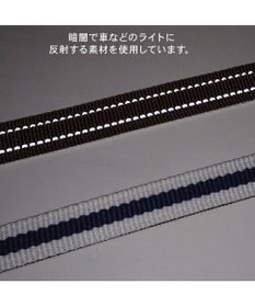 PET PARADISE ペットパラダイス ネイビー ライン入り リード ４Ｓ～３Ｓ 小型犬